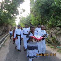 Scholastic Theologians’ Pastoral Experiences